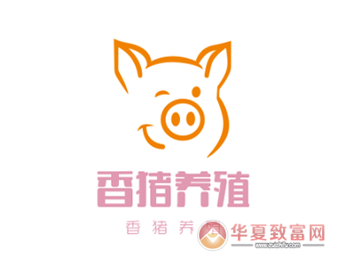香猪养殖加盟